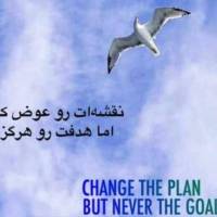 احمد الهوردیان سالکویه پروفایل