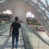 مجتبی غفاری پروفایل