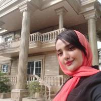 مهندس فرهمند پروفایل