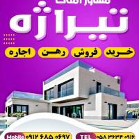 رضا شرافتی پروفایل
