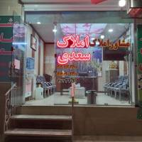 علی سعدی  پروفایل