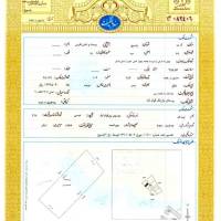 حسن تیموری نژاد پروفایل