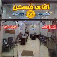 محمد مطلبی پروفایل