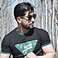 مشاور علی الماسی پروفایل