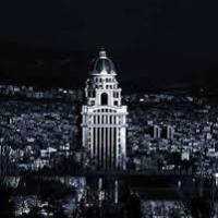 مشاور Ansari پروفایل