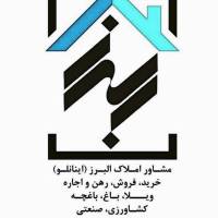 محمد اینانلو پروفایل