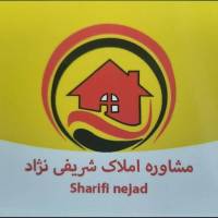 م شریفی نژاد پروفایل