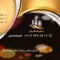رامین علیمحمدی پروفایل