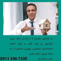 یاسر محمدی پروفایل