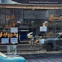 سید سجاد 09366866296 پروفایل