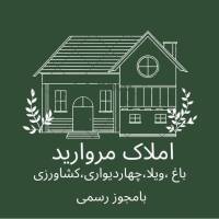 بهزاد شفیعی پروفایل