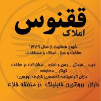 مشاور ممتاز خانم بابائی  پروفایل