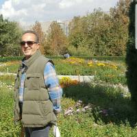 بهمن دباغیان پروفایل