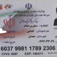 حسین اندامی پروفایل