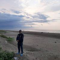 مجتبی مجتبایی پروفایل