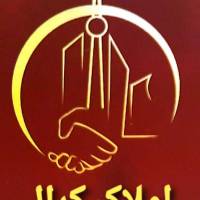 هادی حسینی کرال  پروفایل