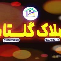 رضا باقری پروفایل