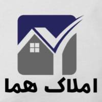محمد قائلی پروفایل
