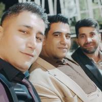 محمود شهریاری پروفایل