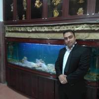 رضائی پروفایل