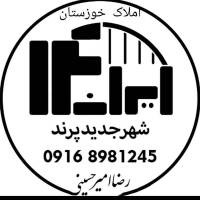 رضاامیرحسینی پروفایل