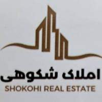 محمد شکوهی پروفایل