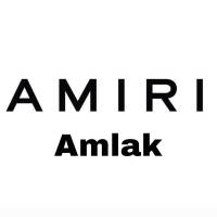AMIR AMIRI پروفایل