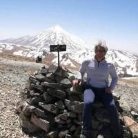 نیما فرخی پروفایل