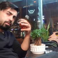 مجید صداقت نیا پروفایل