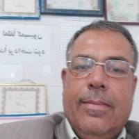حسین ولی زاده گزل آباد پروفایل