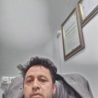 حسن فاطمی پروفایل