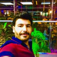 محمد مختاری پروفایل