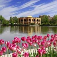 آقای مهندس ذکری پروفایل
