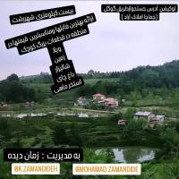 arad پروفایل