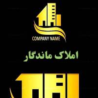سعید رضائی پروفایل