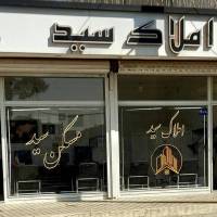 سید میلاد شامی پروفایل