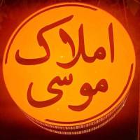 رضا هاشمی  پروفایل
