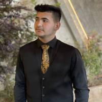 ابوالفضل حمدی پروفایل