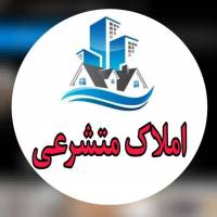 یوسف متشرعی پروفایل