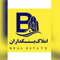 کیانوش سلطانی علاسوند پروفایل
