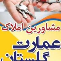 رسول زندی پروفایل
