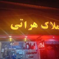 سید مرتضی حسینی پروفایل