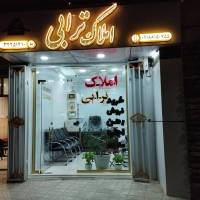 ترابی پروفایل