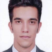 فرهاد شاهی پروفایل