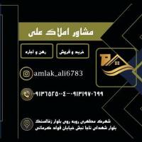 حمید ملکی پروفایل