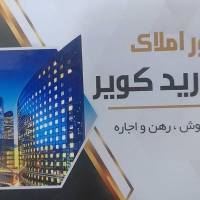 منصوری پروفایل