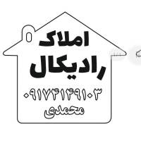 محمد محمدی پروفایل