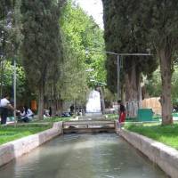 حسین نصری پروفایل