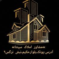 علی محمدی  پروفایل