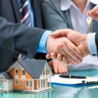 نیما سلامتیان پروفایل